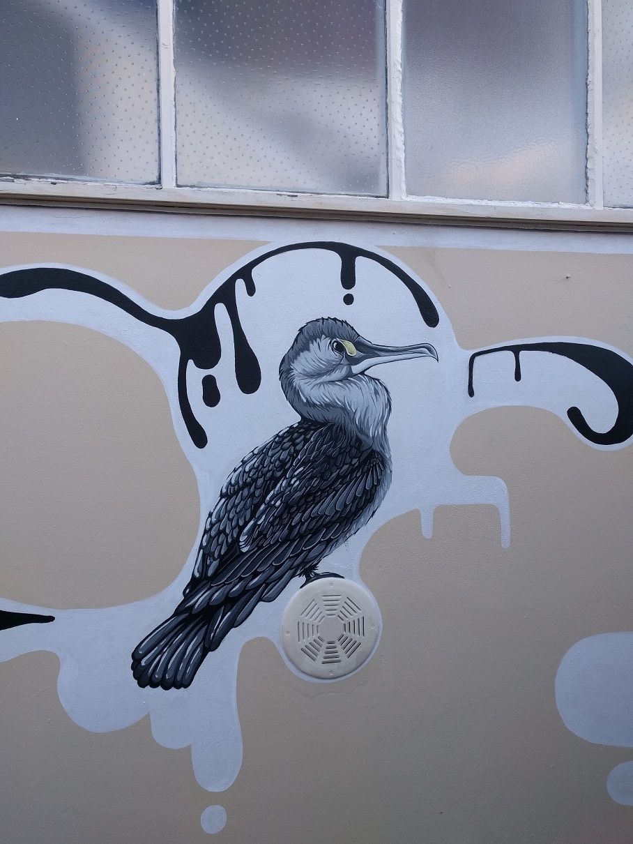 Seawalls: Artists for Oceans in Quirky Napier, New Zealand