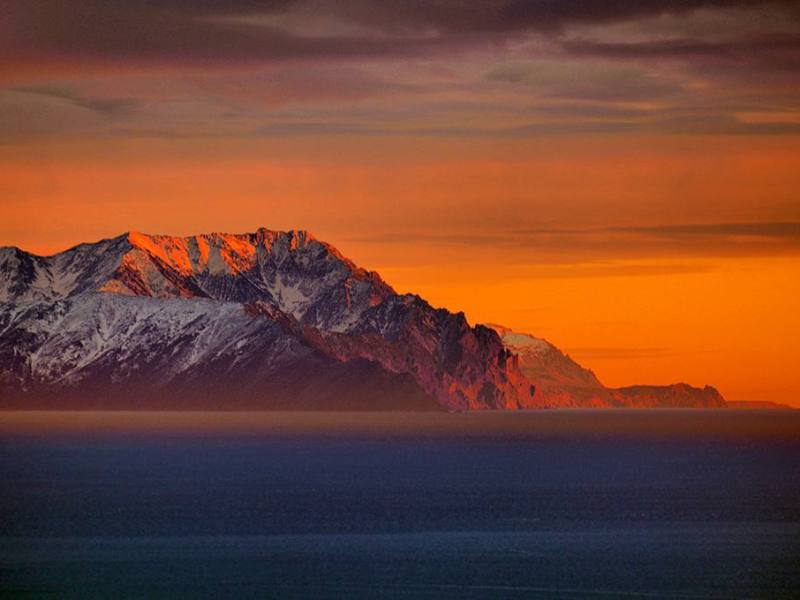 The Songs of Tangaroa  ~  Ngā Waiata o&nbsp;Tangaroa