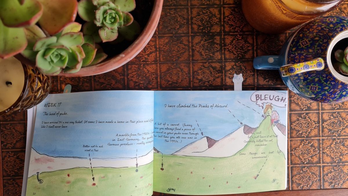 Book Review: The Pregnancy Diaries Vol. 1 by Googie McCabe