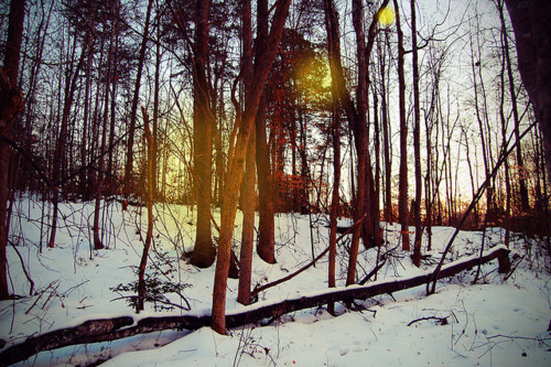 Book Review: Madame Verona Comes Down The Hill http://wp.me/p41CQf-5a