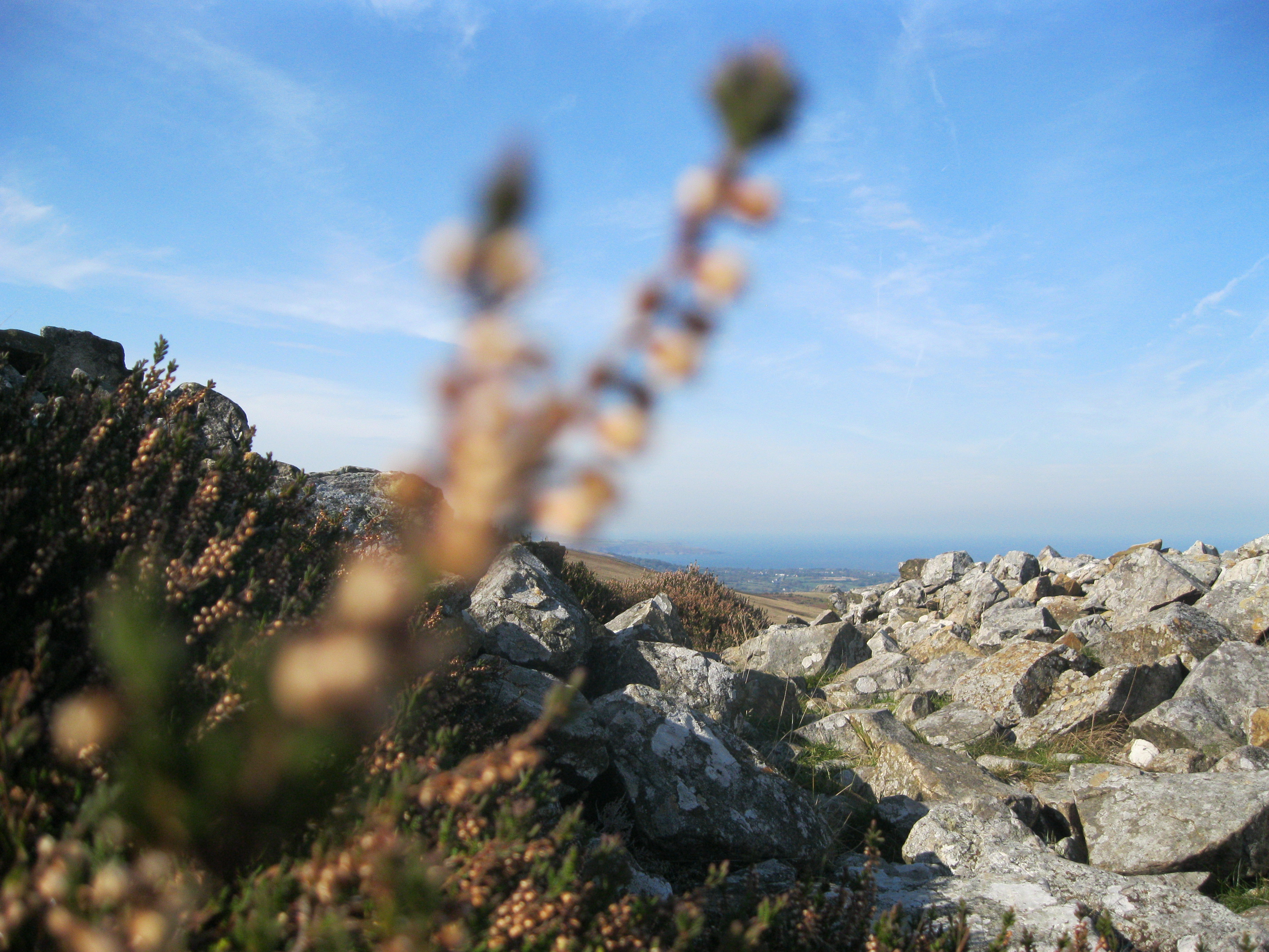 Travel: Meandering around the Mynydd Carningli neolithic hillfort