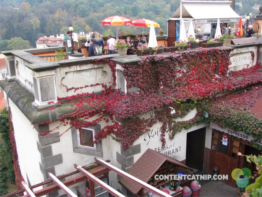 A lovely rooftop cafe in Prague's old town. Copyright 2009, Content Catnip.