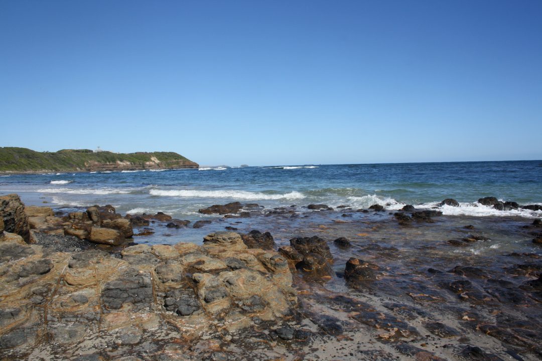 Summer in Melbourne Part 1: Mushroom Reef Sanctuary, Flinders.