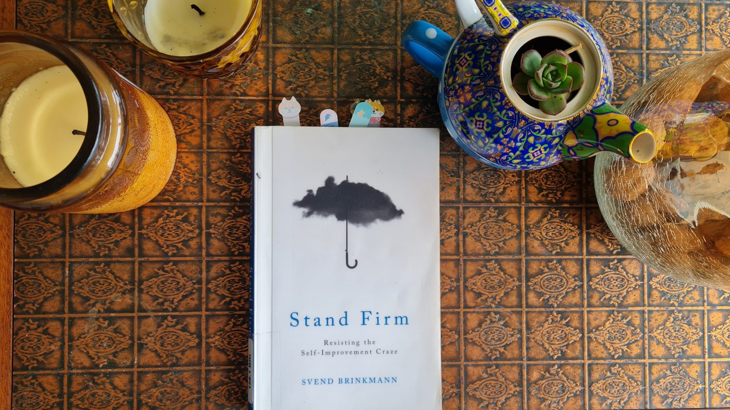 Book Review: Standing Firm: Resisting The Self Improvement Craze by Svend Brinkmann