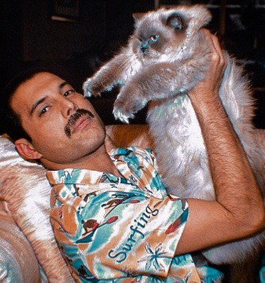 Freddy Mercury really loved his cats