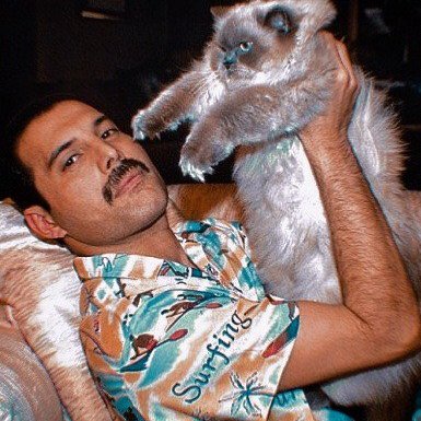 Freddy Mercury really loved his cats