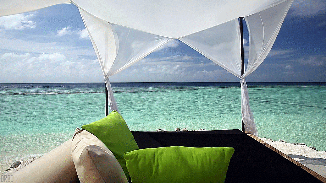 THE MALDVES ORBOJUNGLIST