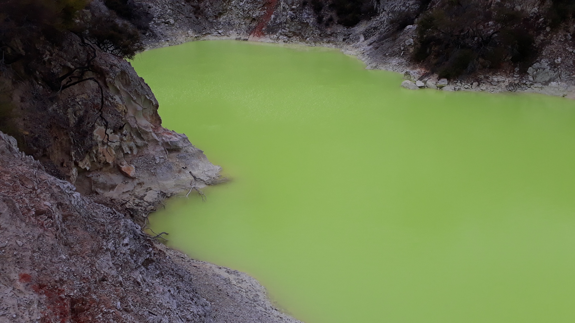 Welcome to the rumbling belly of the shaky isles: Taupo and Rotorua Part Two