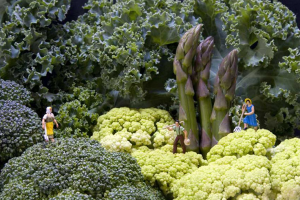 Leviathan or Lilliputian? 