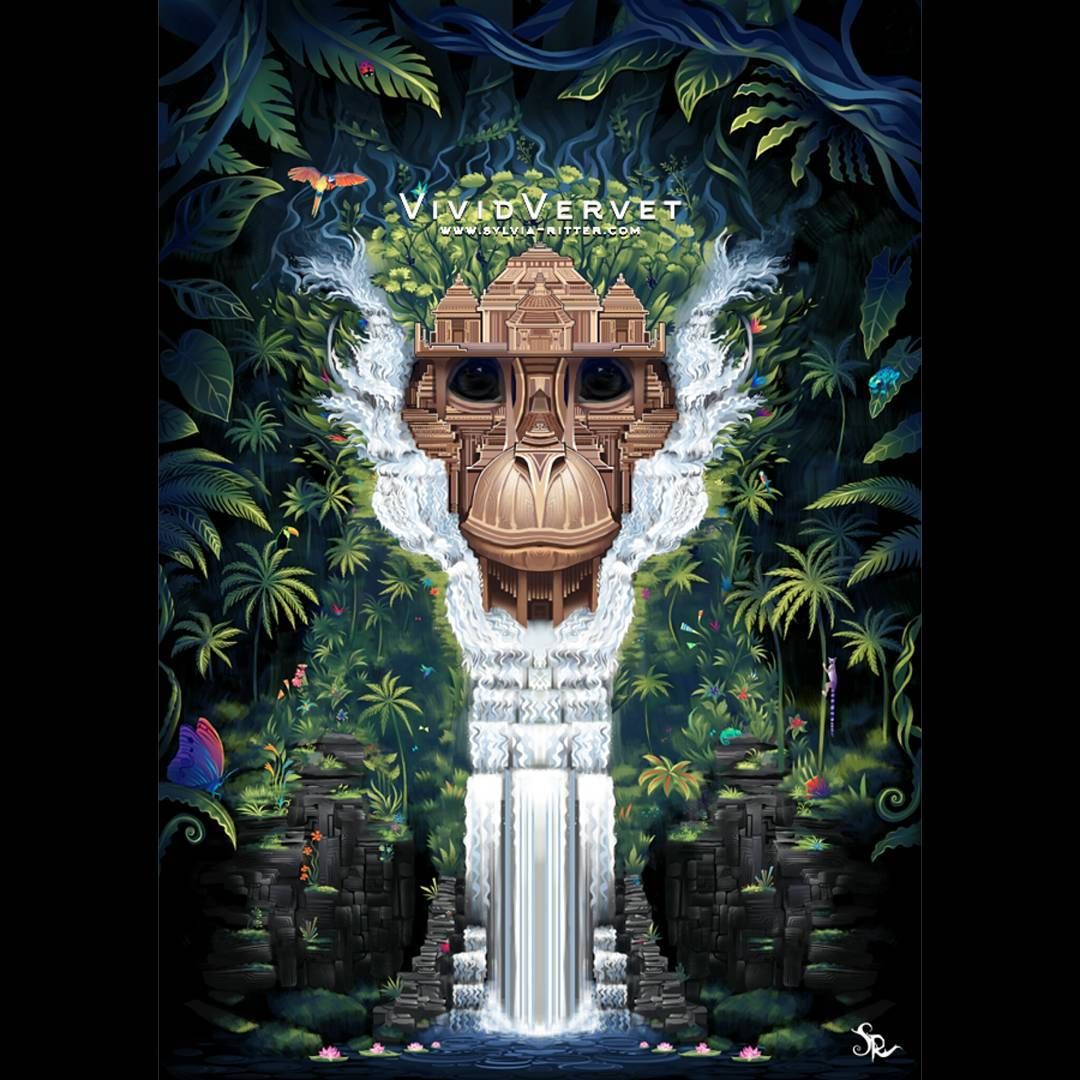 Vivid Vervet by Sylvia Ritter