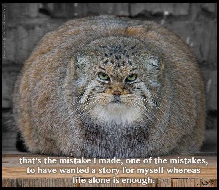 Samuel Beckett and Cats Talk About The Pointlessness of Existence