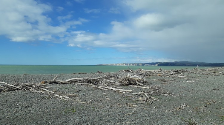 Travel: Napier's remote beaches and wineries by bike