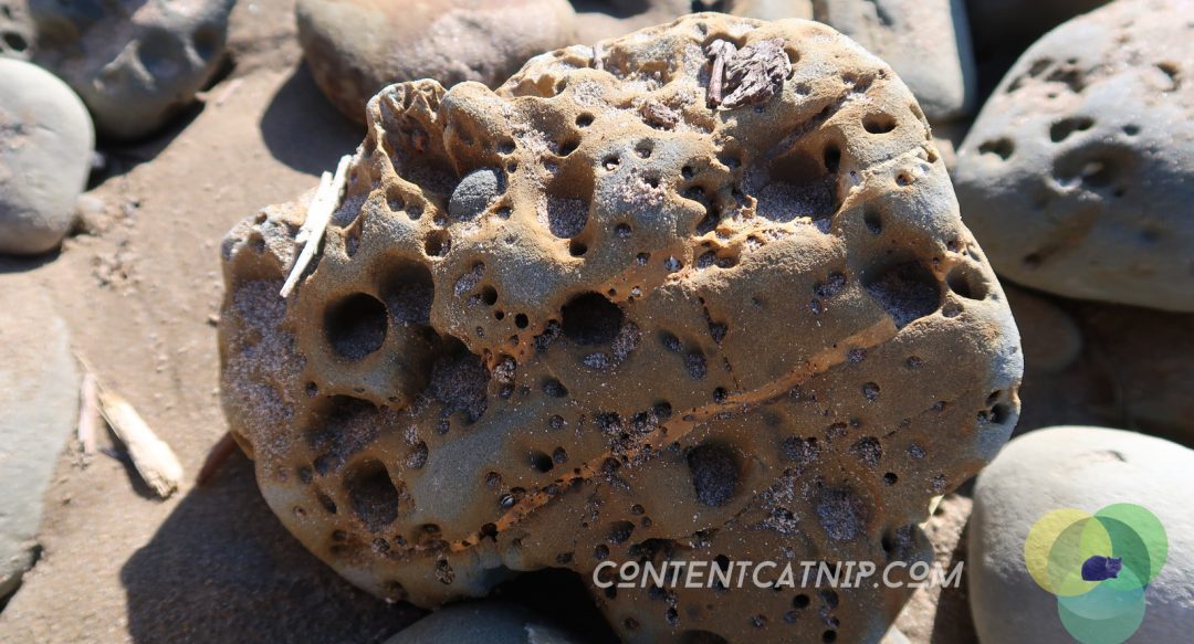 A roadtrip through the Bay of Plenty and Eastern Cape of the North Island