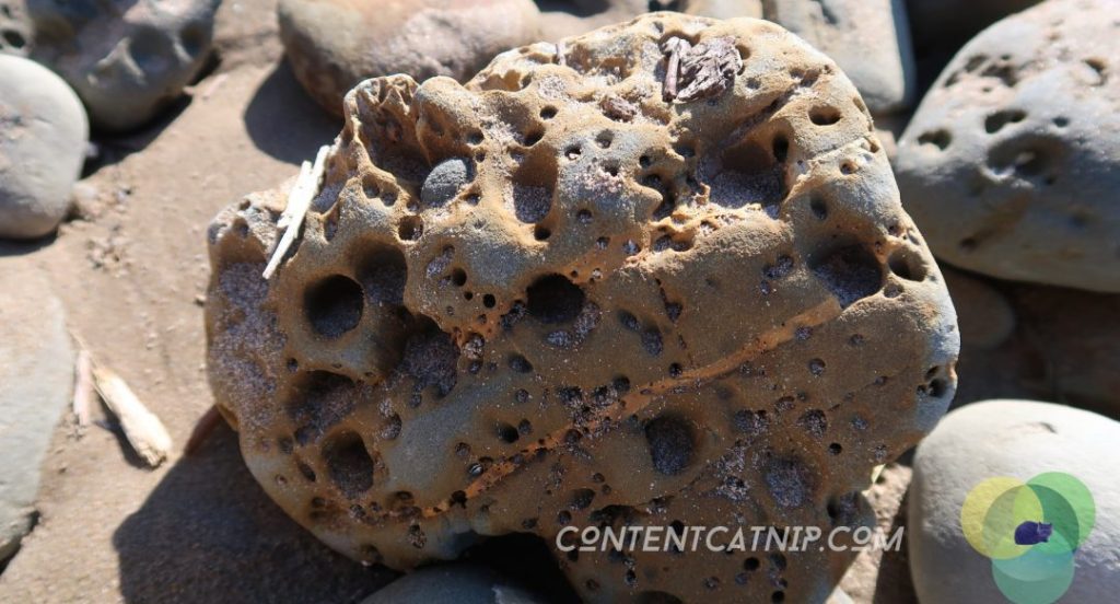 A roadtrip through the Bay of Plenty and Eastern Cape of the North Island