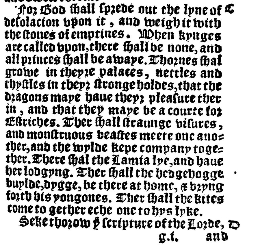 Ancient word of the day: hedgehog