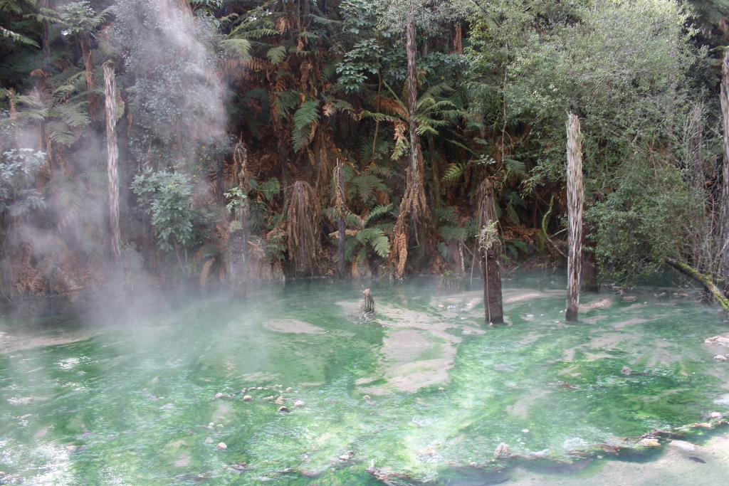 An excellent MTB adventure in Huka Falls, Taupo