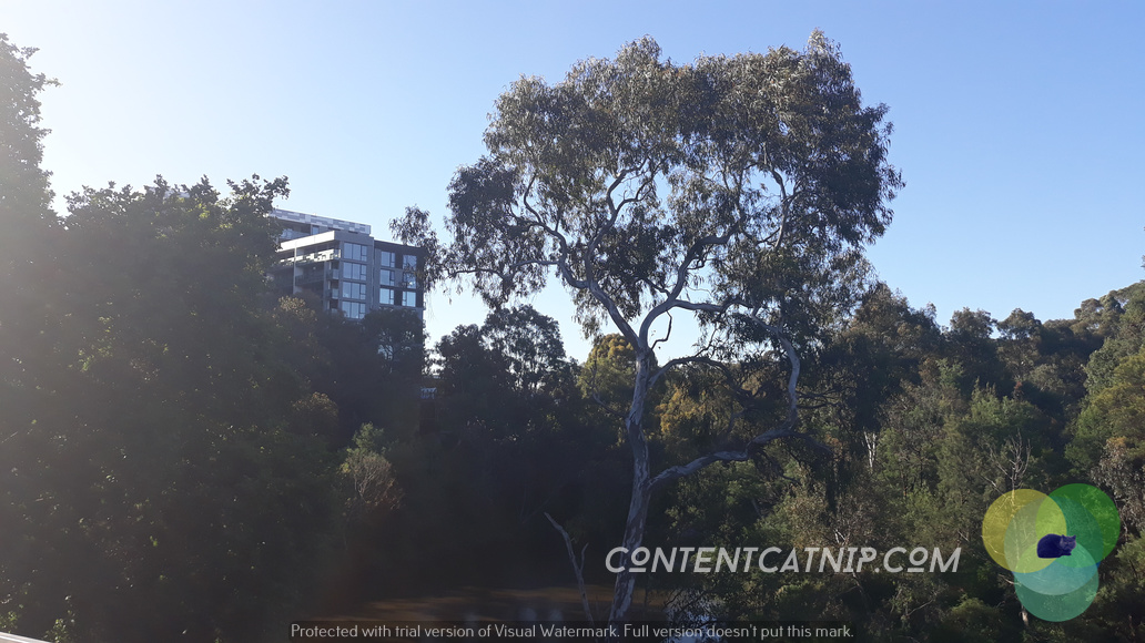 Travel: On Melbourne's Yarra River cycle trail