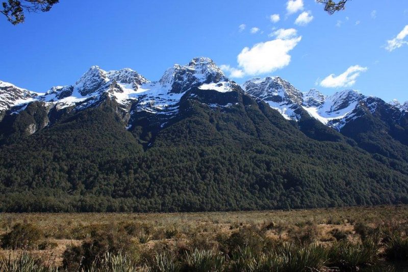 Travel: Magnificent Milford Sound, New Zealand Copyright Content Catnip 2016