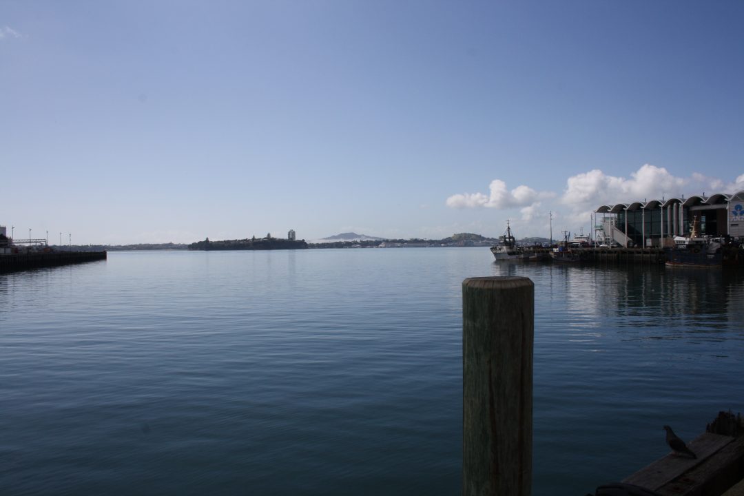 Great Cycle Routes of Auckland