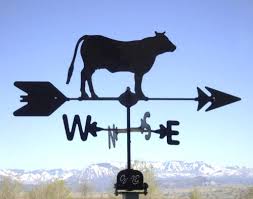 Lost With No GPS or Compass? Just Look For A Cow In A Field!