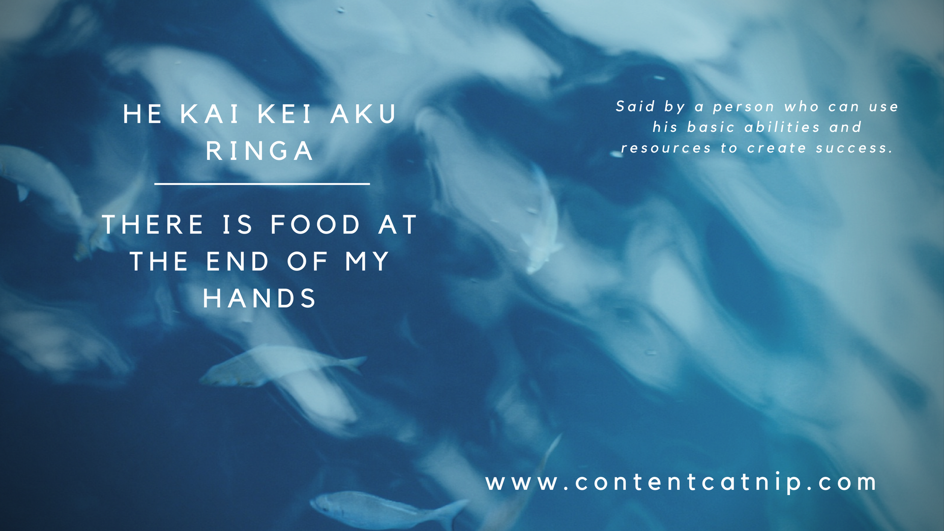 Te Ao Maori and the aesthetics of cosiness