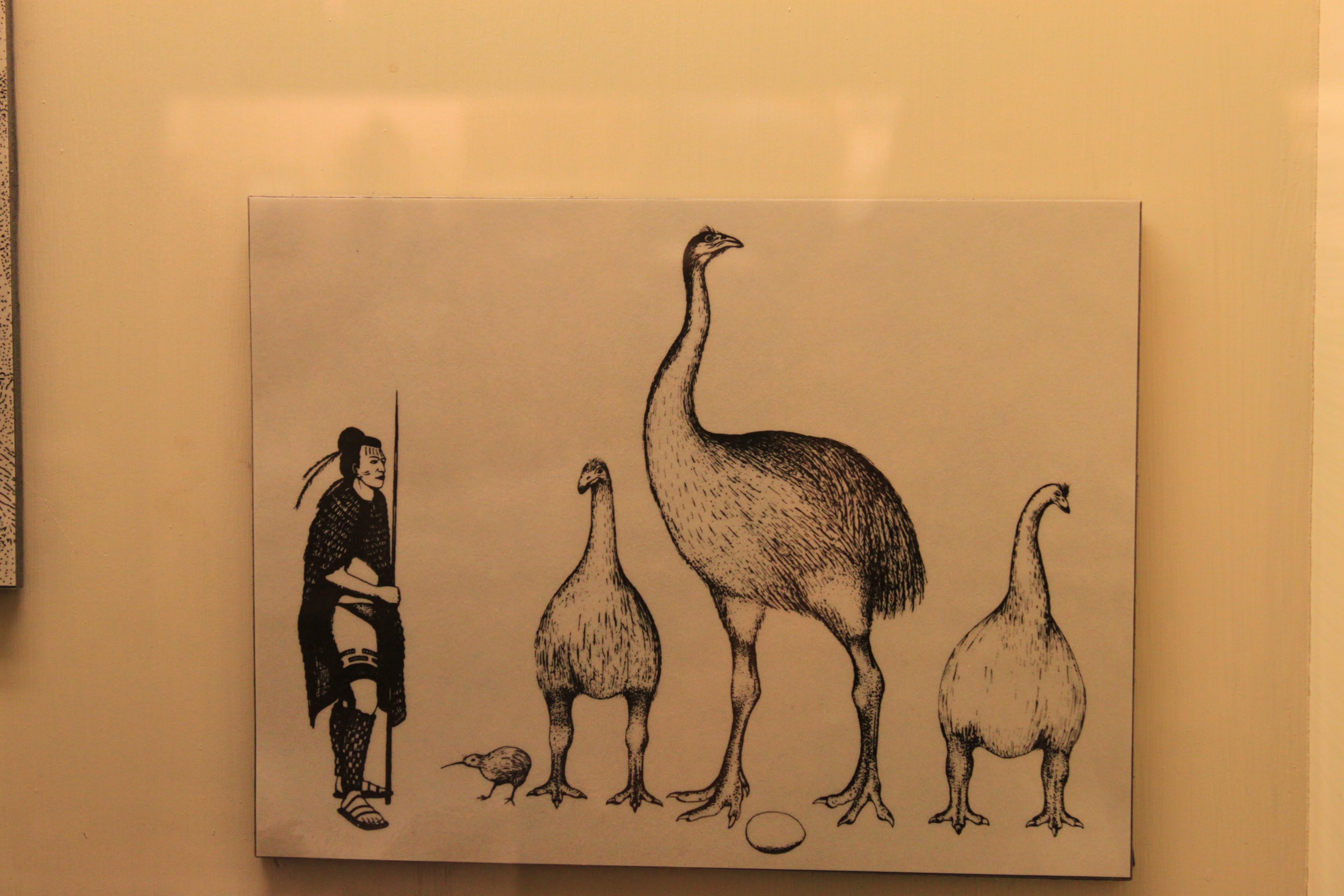 The Sky Bastard Who Ate My Ancestors in New Zealand