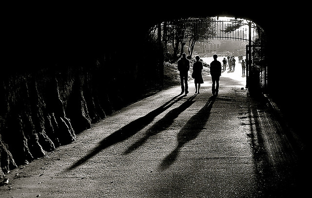 Maya Angelou: Leader of the Brave and Defiant