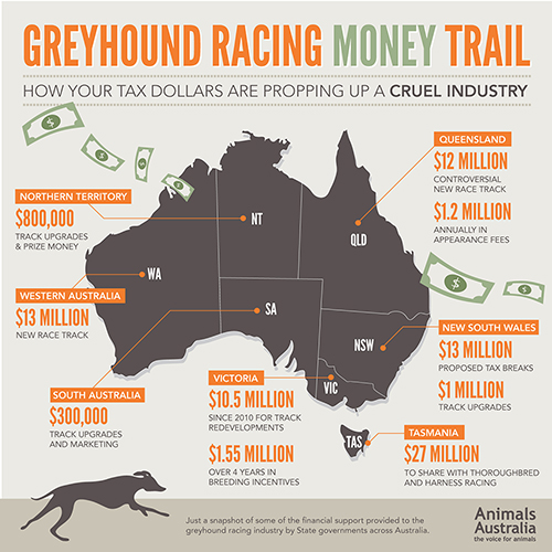 The Truth About Greyhound Racing in Australia