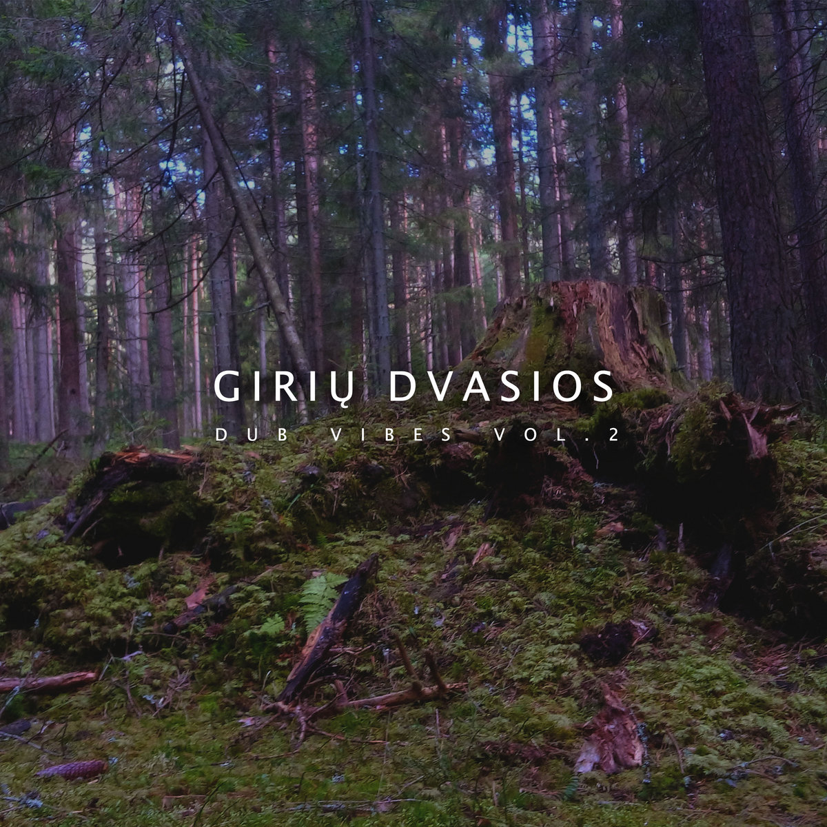 Artists & Writers in Their Own Words: Evaldas Azbukauskas AKA Giriu Dvasios