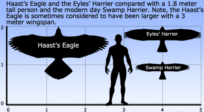 The Sky Bastard Who Ate My Ancestors in New Zealand