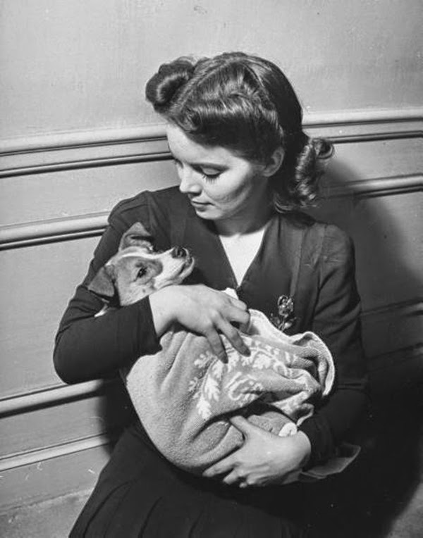 Every Picture Tells A Story: A Lady and Her Pupper during the London Blitz (1940) 