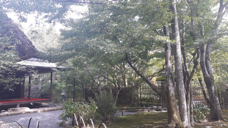 Tenryu-ji temple's zen garden is nirvana 