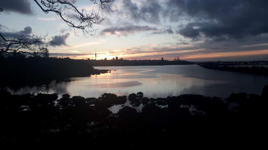 Great Cycle Routes of Auckland