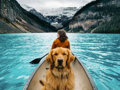 Frontier dog Aspen is one dapper and capable canine