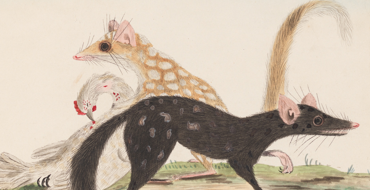 Unseen Art from Australia’s First Fleet http://wp.me/p41CQf-8h