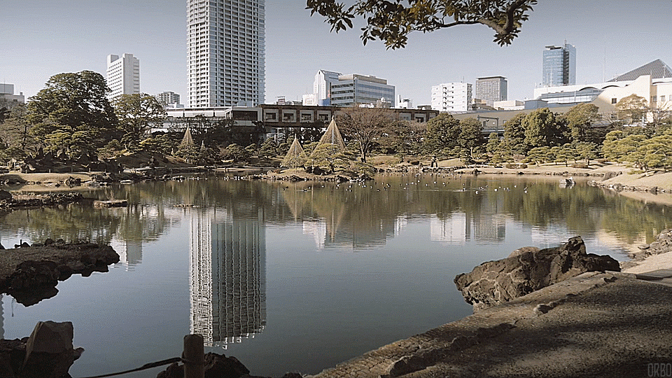 Book Review – Kafka on the Shore by Haruki Murakami