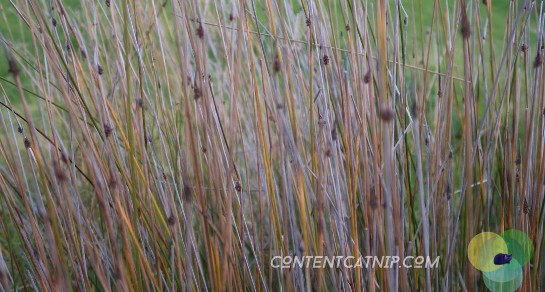 A roadtrip through the Bay of Plenty and Eastern Cape of the North Island