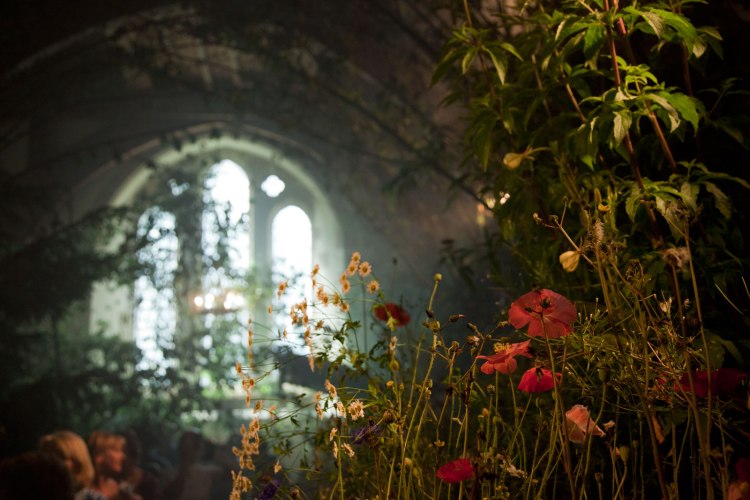 Churches, Weeds, Wildflowers and Wonder