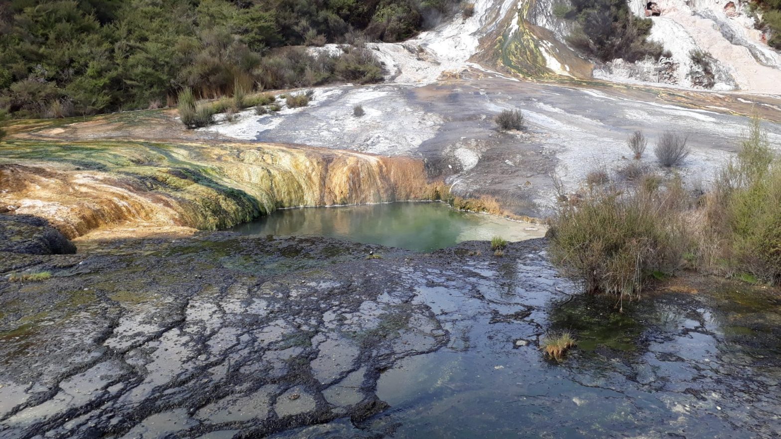 Welcome to the rumbling belly of the shaky isles: Orakei Korako https://wp.me/p41CQf-JXQ
