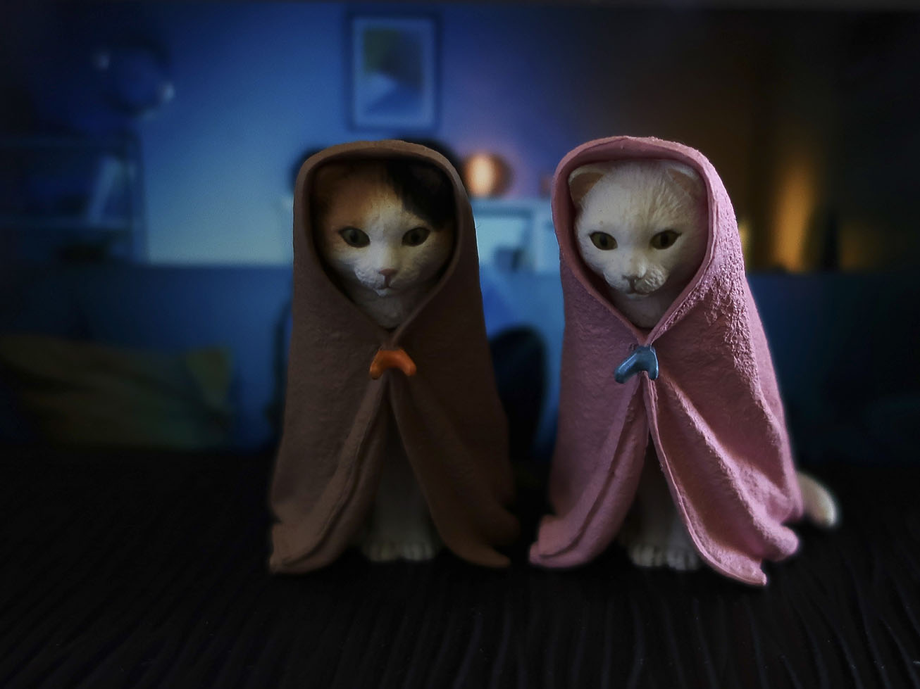 10 Uplifting things I found on the internet this week #5