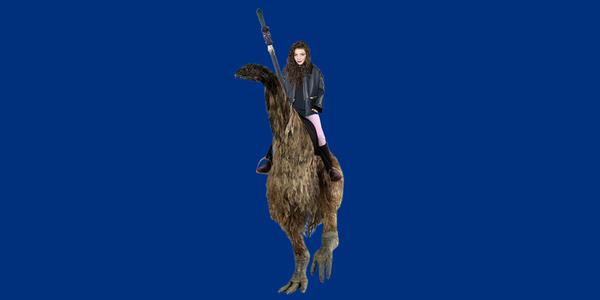 A Beautiful Proposed Flag for Planet Earth (and also New Zealand's new flag)