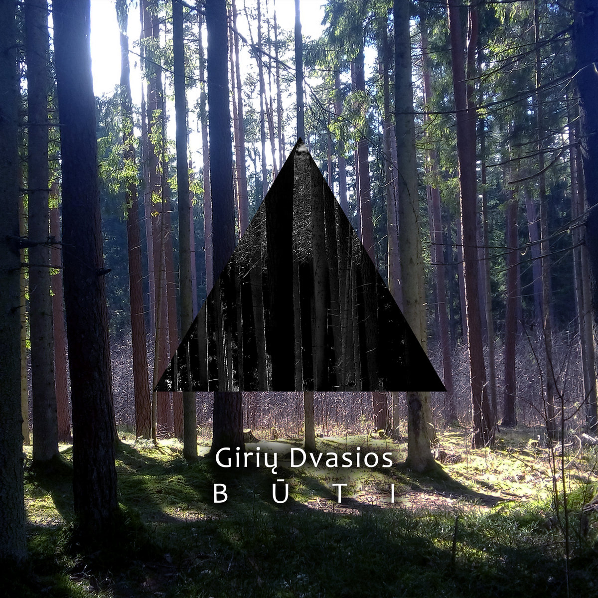 Artists & Writers in Their Own Words: Evaldas Azbukauskas AKA Giriu Dvasios