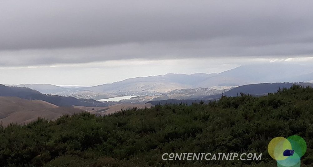 Moody mountain walks in central Wellington