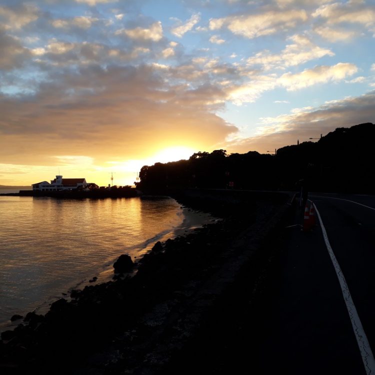 Great Cycle Routes of Auckland