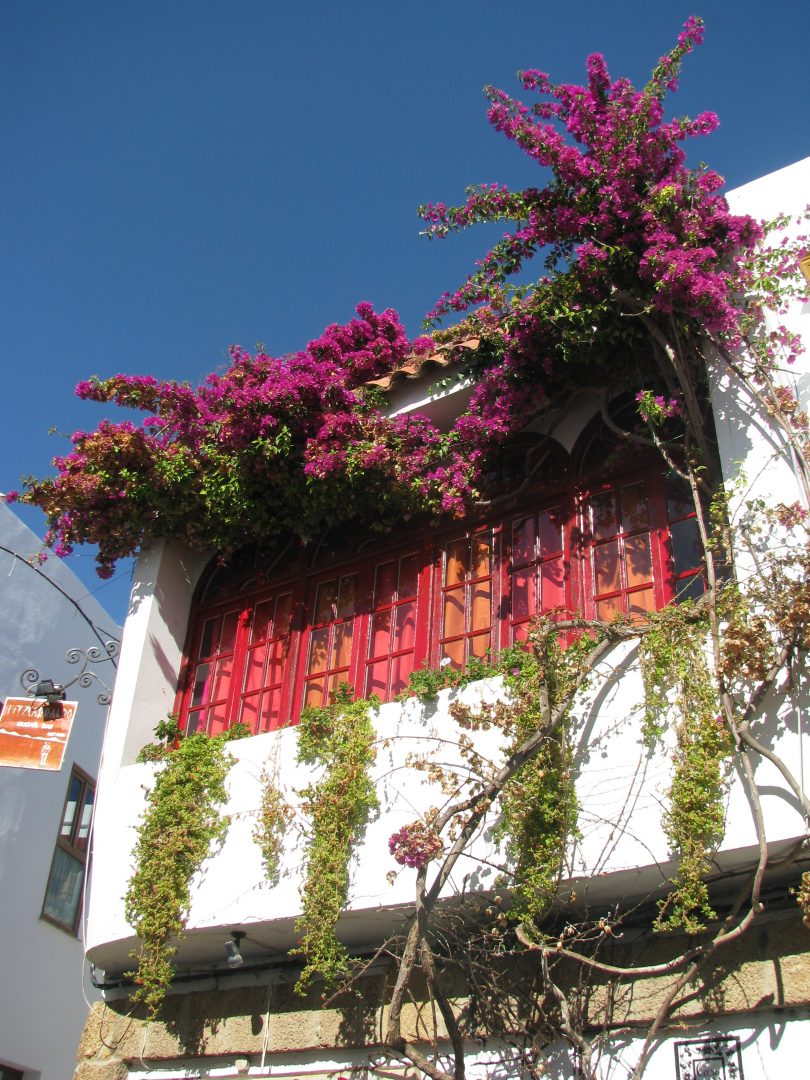 A Sunny Terrace in Conil de la Frontera 2008