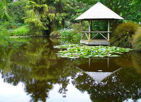 Australia and New Zealand's Coolest Gardens