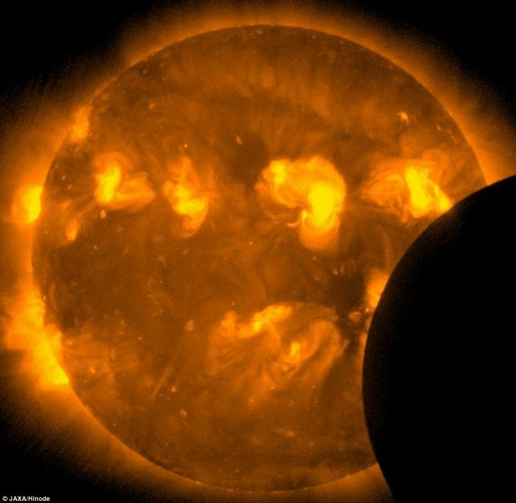 Eclipse Hunting For Star-gazing Dreamers