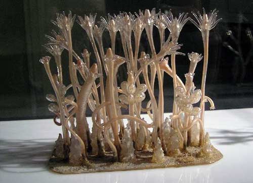 Exquisite Marine Invertebrates of the 19th Century http://wp.me/p41CQf-rWG