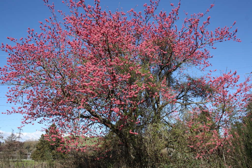 An excellent MTB adventure in Huka Falls, Taupo