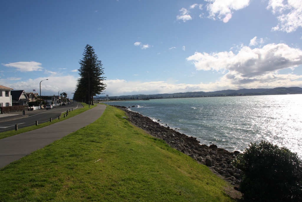 Travel: Napier's remote beaches and wineries by bike